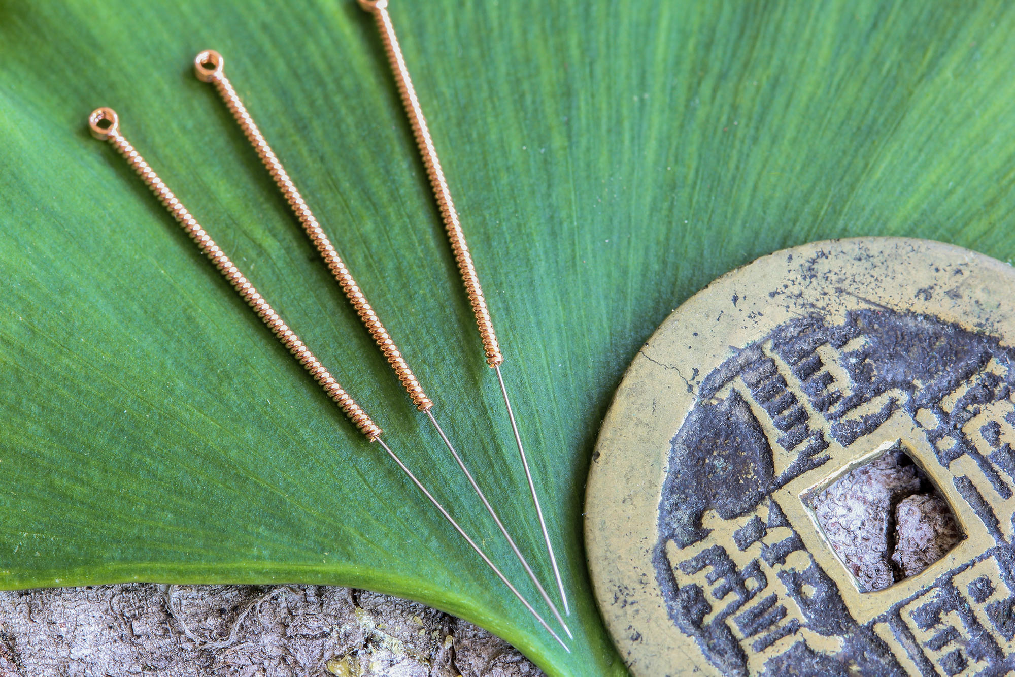 three acupuncture needles and medallion on a leaf